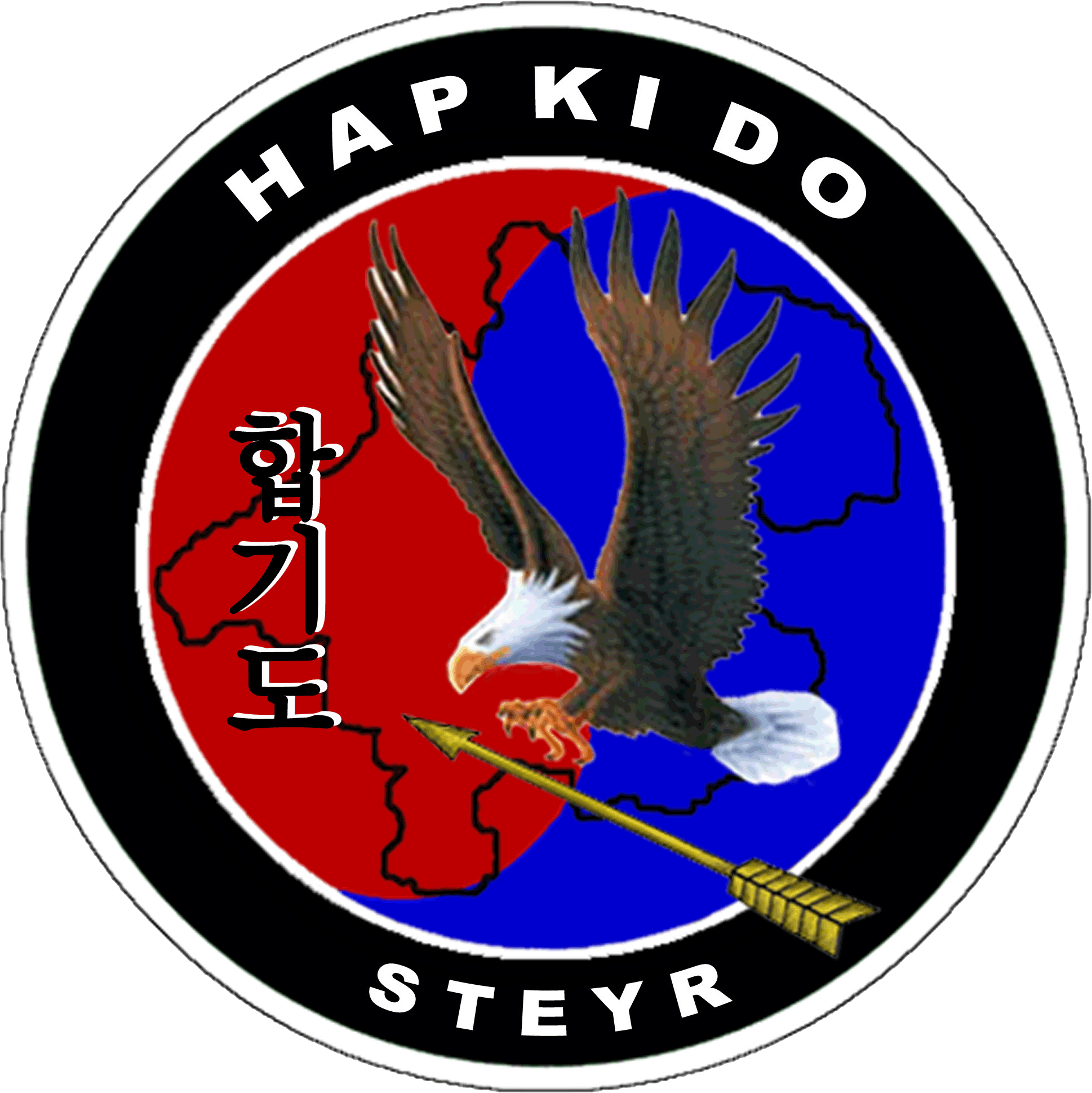 Hapkido Steyr 